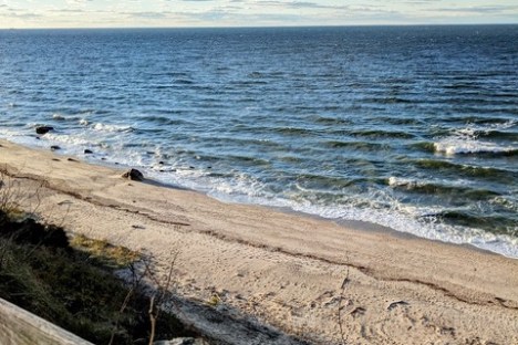 a group of people on a beach near a body of water